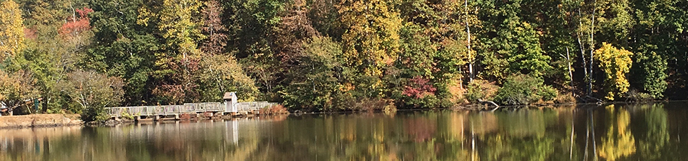 Lake Garrett Fishing Bridage